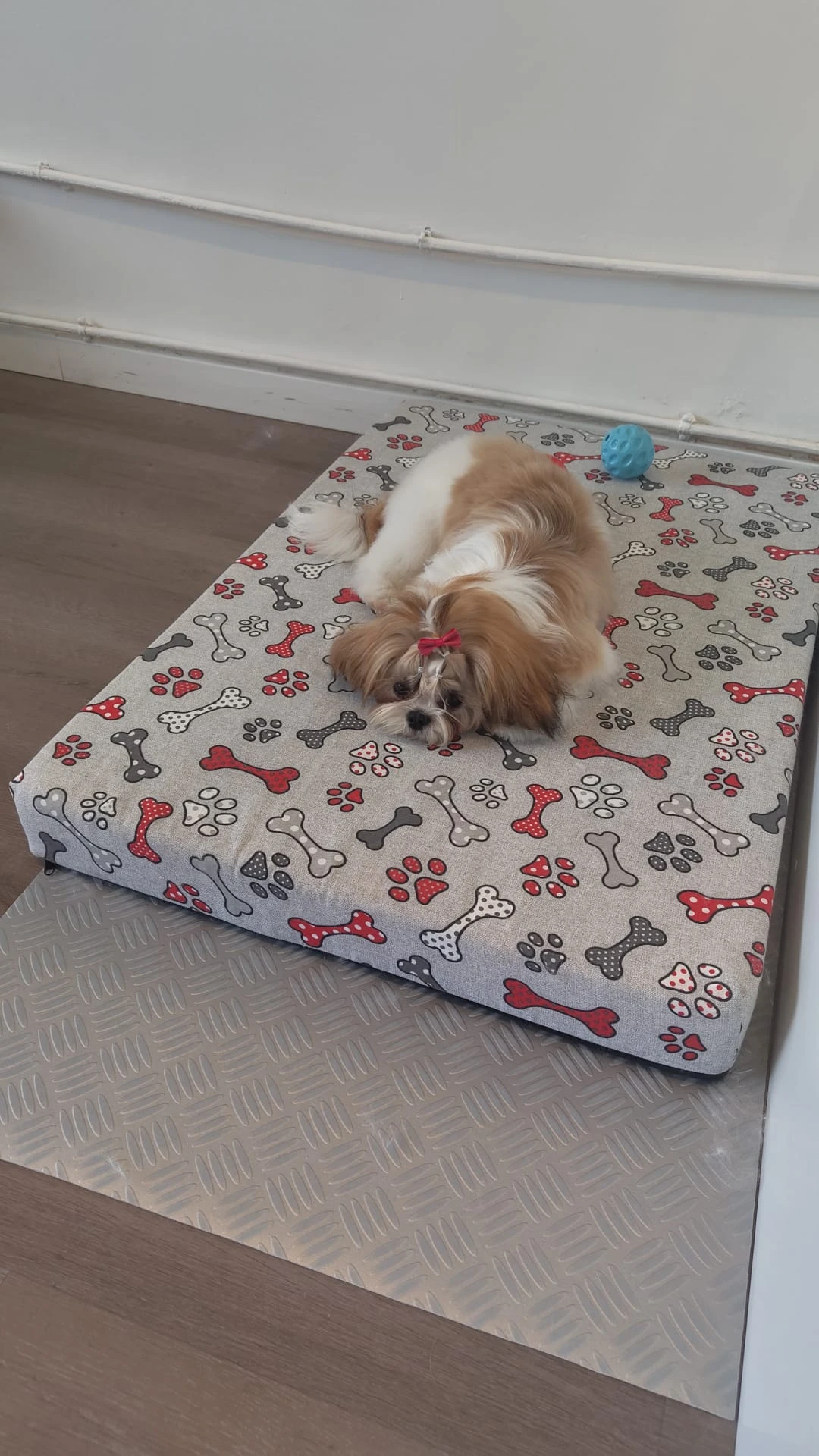 Perro descansando peluqueria canina vicalvaro